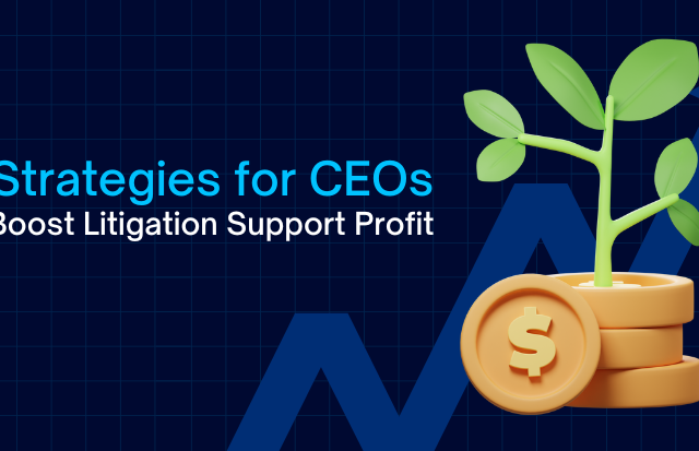 Strategies for CEOs to Boost Litigation Support Profit