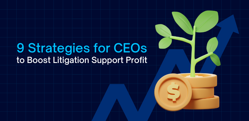 Strategies for CEOs to Boost Litigation Support Profit